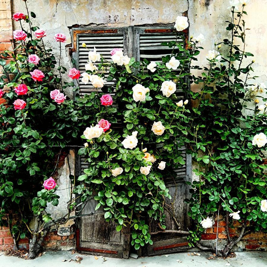 Teresa Al Belvedere Rooms&Holidayapartments Camere&Appartamenti Castellinaldo Buitenkant foto